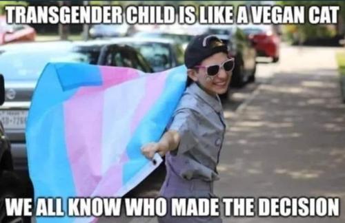 img - 2023-08-08T131356.001