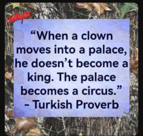 Screenshot_20230820_152050_YouTube