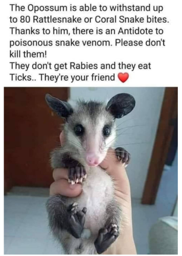 Screenshot_2023-08-06-01-11-46_kindlephoto-512980966