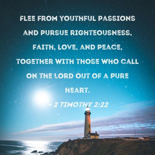 2 Timothy 2_22