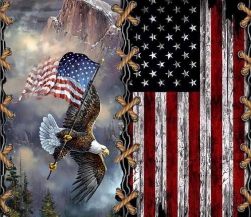 USA Flag and Eagle