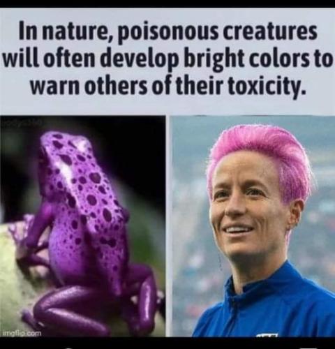 FB_IMG_1692845623709