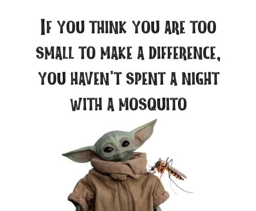 FB_IMG_1693424428005