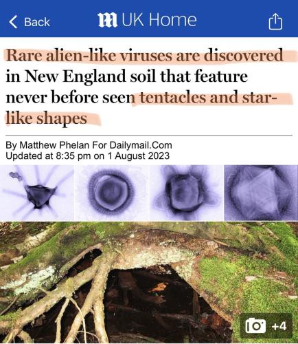 IMG_20230802_152234_464