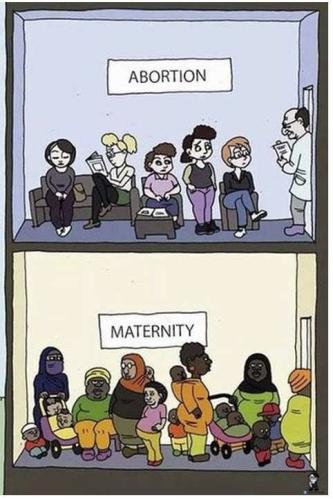 IMG_20230808_195016_427