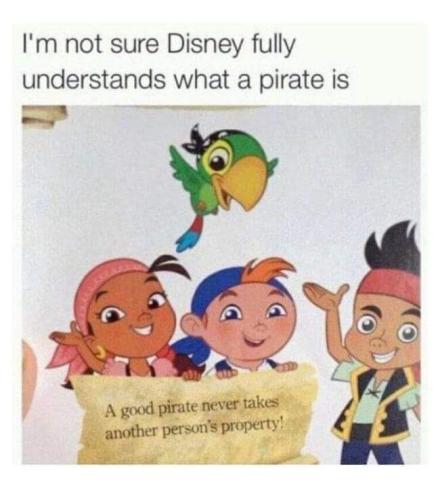 what a pirate is