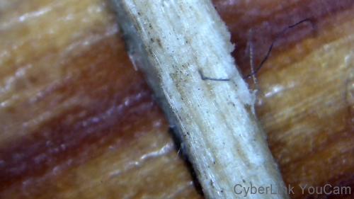 Carbon Polymer Fiber Rod (10)