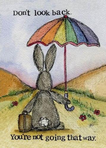 39453916_2213399802022510_2744576628624457728_n