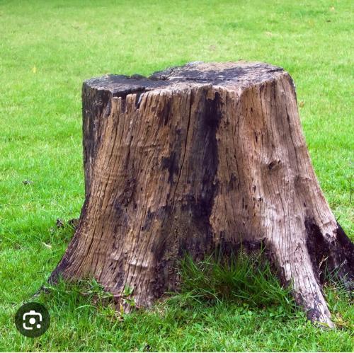 Screenshot_20230819_222306_Google