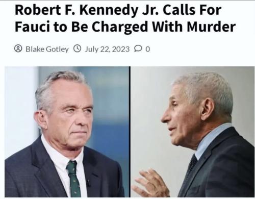 photo_2023-08-10_23-37-49