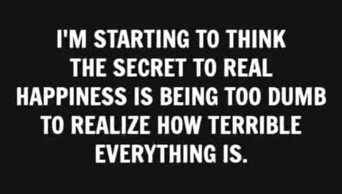 FB_IMG_1691257269361