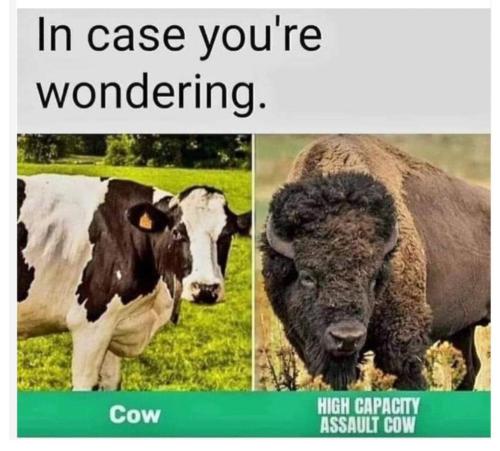 FB_IMG_1691072581726