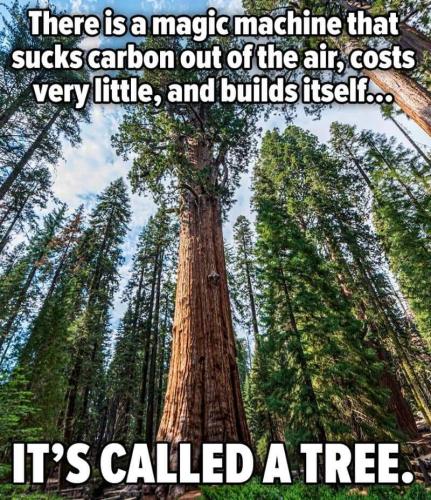 FB_IMG_1691330904917