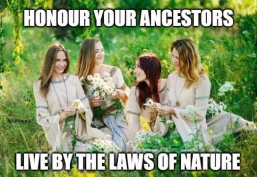 received_1488237155246598