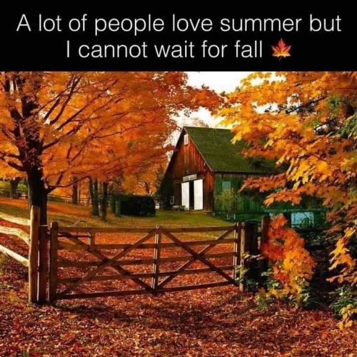 FB_IMG_1691633911490