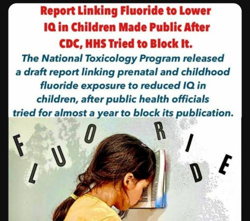 Screenshot_20230820_152447_YouTube