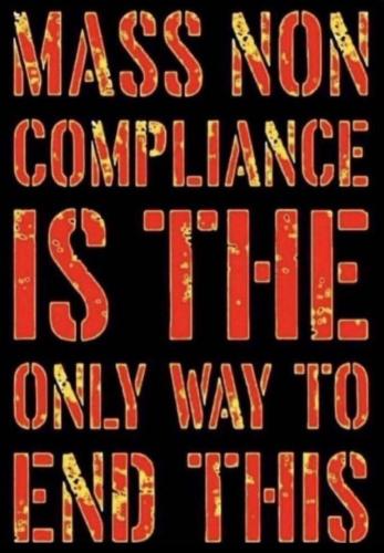 photo_2023-08-29_13-33-14