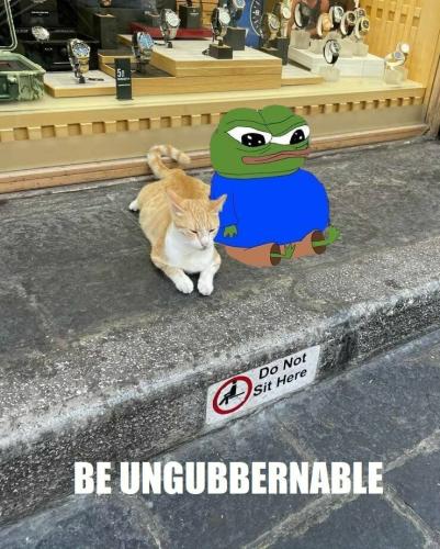 f1882331-83aa-4f58-99fd-7dfb44e595cd