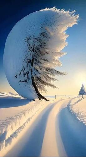 FB_IMG_1692151761311