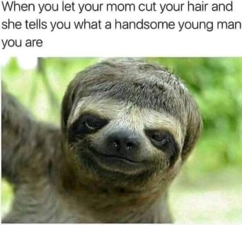 FB_IMG_1693431747786