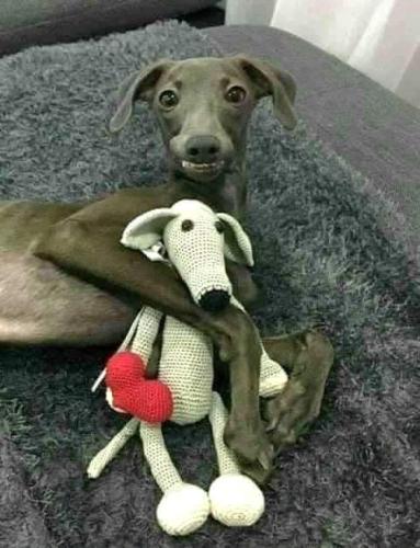 FB_IMG_1693287333050