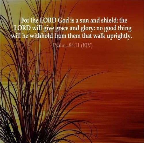 1d8c2f07-1a7f-4078-88c4-10f2f859b039