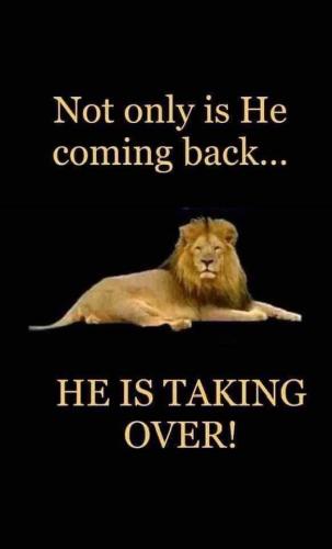 FB_IMG_1691373378417