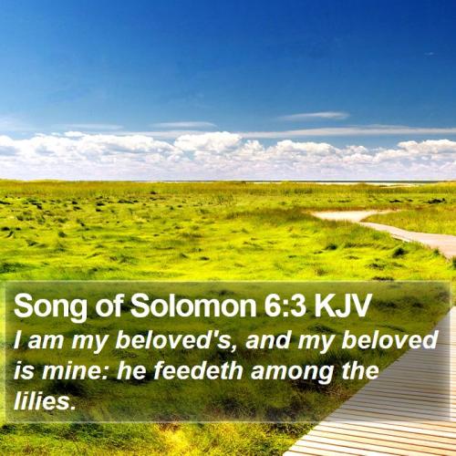 Song of Solomon 6_3
