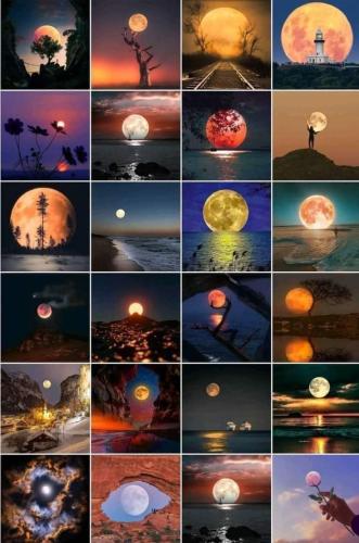 FB_IMG_1691100674386