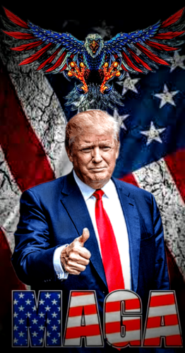 Polish_20230816_215145057~2