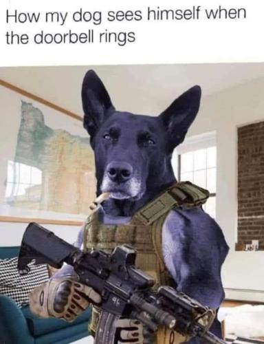 FB_IMG_1692845614557