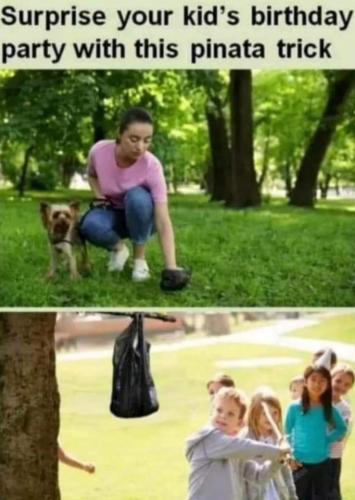 FB_IMG_1691773237156