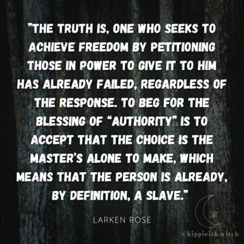 FB_IMG_1691896366102