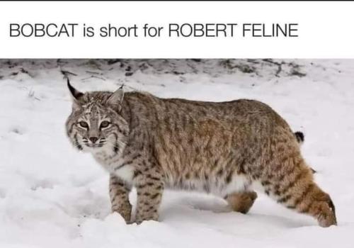 FB_IMG_1691382832482