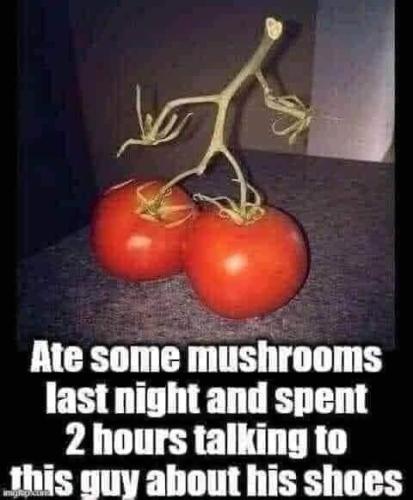 a59a70ec-59cd-4ca6-881d-8ddcef8feb00