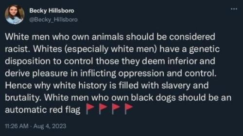 90milesd6add5d80a52b838d5b87499e84abd9b_606a17d3_540