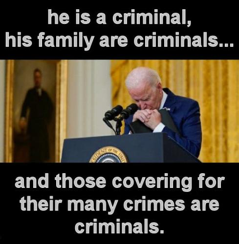 criminal activity123