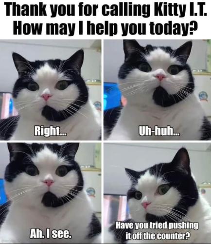 FB_IMG_1692161776989