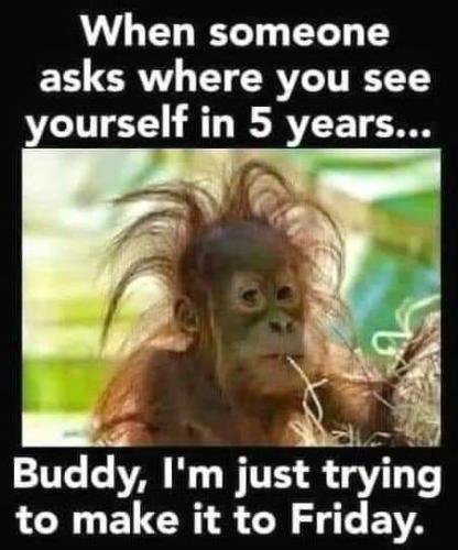 FB_IMG_1692372446469