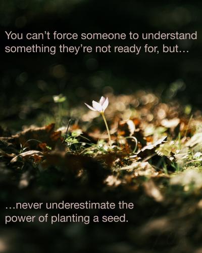 You can’t force someone to understand something they’re not ready for, but never underestimate the power of planting a seed pexels-sami-aksu-10439102