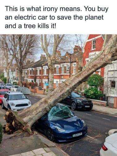 FB_IMG_1692656247175