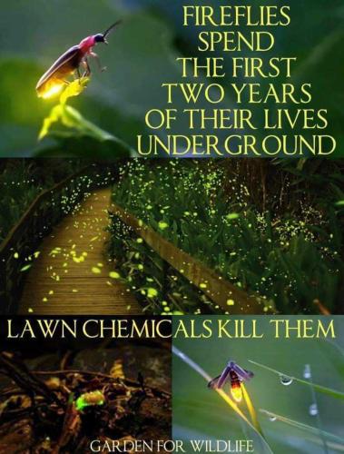 received_309326724805641