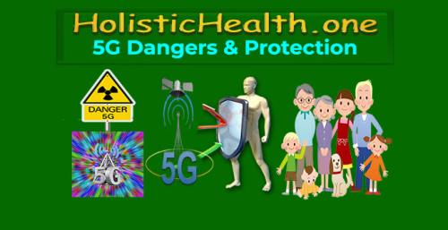 HolisticHealth.one - 5G Dangers and Protection