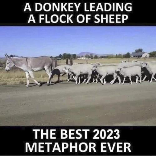 363363851_674192821420162_736685842775579121_n