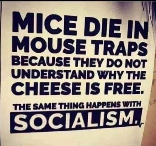 FB_IMG_1692305086123