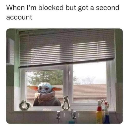 FB_IMG_1693019883699