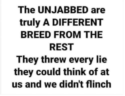 FB_IMG_1693318867465