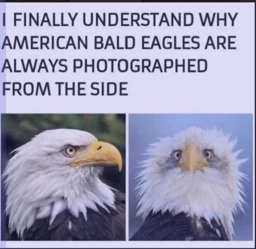 finally I understand