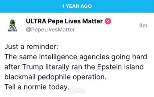 FB_IMG_1691632548017