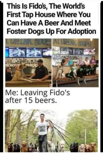 FB_IMG_1691464977019